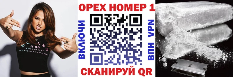 дарнет шоп  Павловск  Кокаин Fish Scale 
