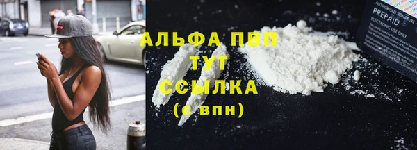 тгк Приозерск
