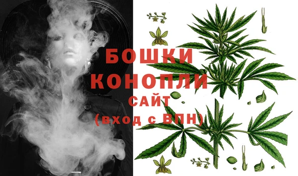 эйфоретик Пролетарск