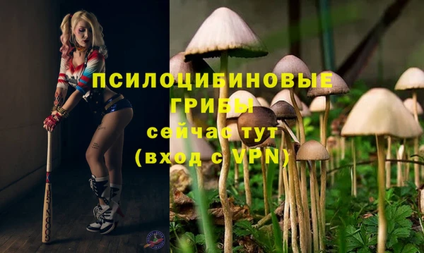 jwh Армянск