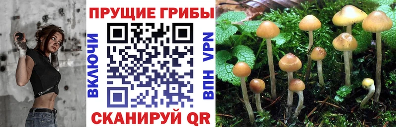Галлюциногенные грибы ЛСД  Павловск 